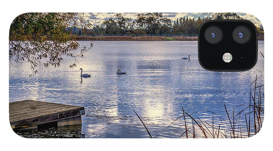 Cameron Park iPhone 12 Case featuring the photograph Cameron Park Lake by Steph Gabler