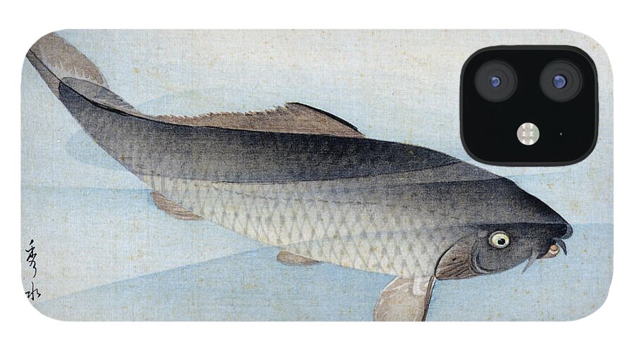 Shusei iPhone 12 Case featuring the painting Carp by Shusei