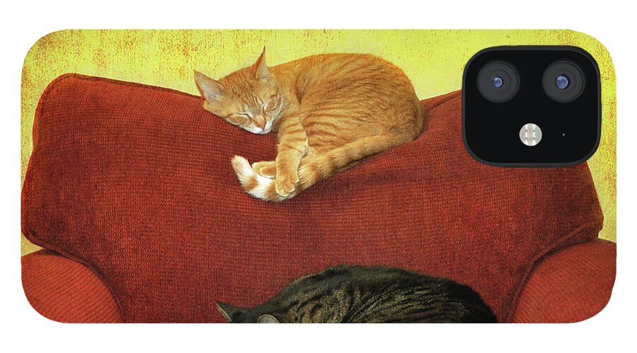 Pets iPhone 12 Case featuring the photograph Cats Sleeping On Sofa by Nancy J. Koch, Pittsburgh, Pa