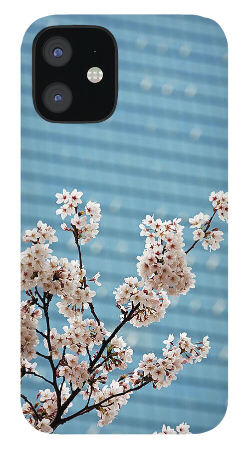 Osaka Prefecture iPhone 12 Case featuring the photograph Cherry Blossom,with Building Backdrop by John W Banagan