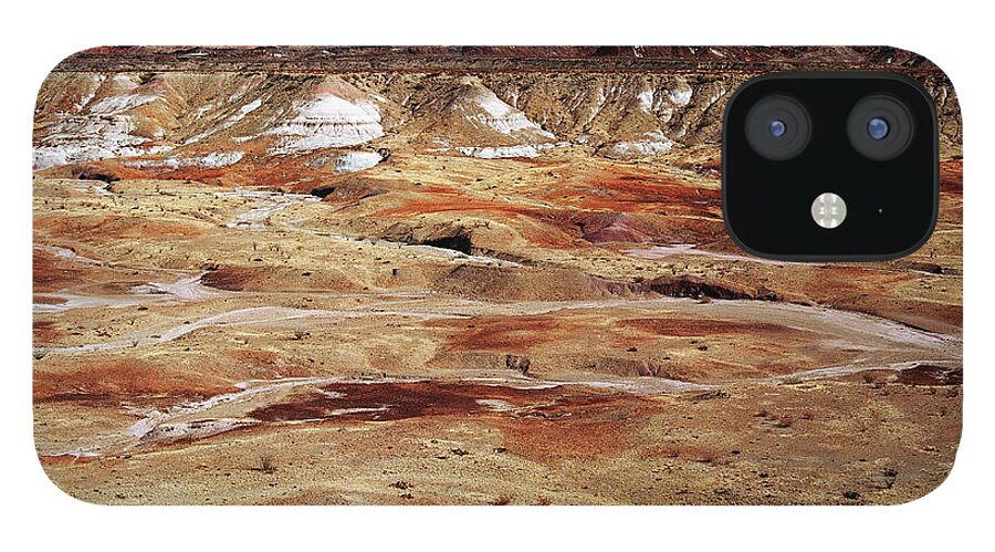 Tranquility iPhone 12 Case featuring the photograph Chihuahuan Desert, Big Bend N.p by Oleg Moiseyenko