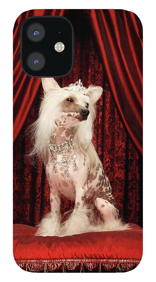 Pets iPhone 12 Case featuring the photograph Chinese Crested Dog Wearing Tiara by Karen Moskowitz