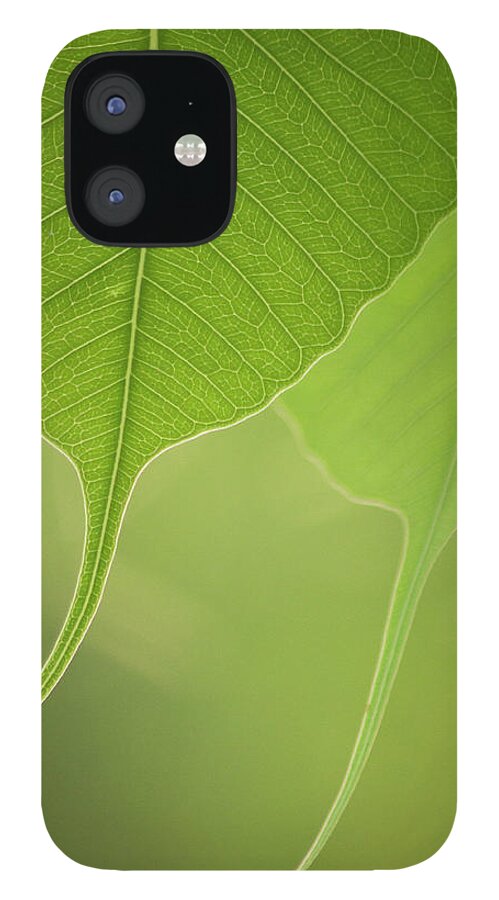 Outdoors iPhone 12 Case featuring the photograph Close Up Of Peepal Leaves by Rahul De