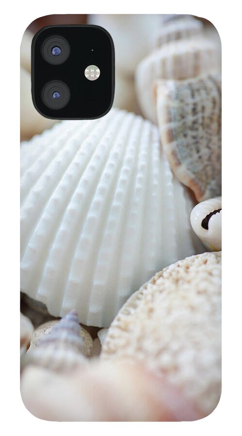 Natural Pattern iPhone 12 Case featuring the photograph Close Up Of Sea Shells by Nicholas Rigg