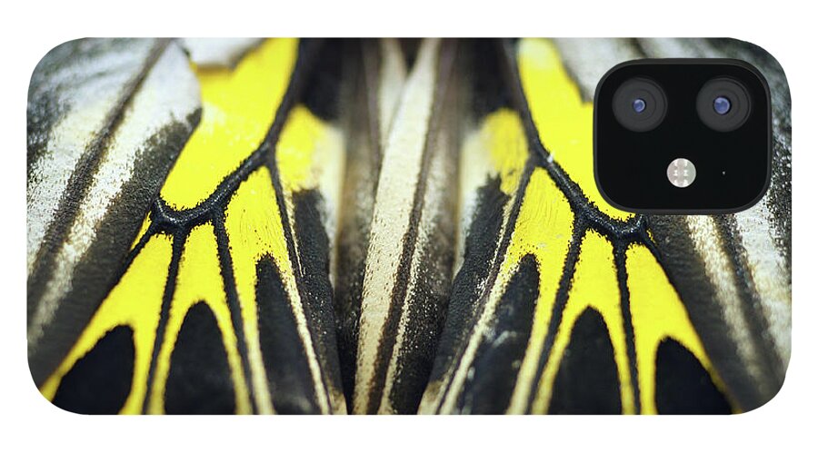Insect iPhone 12 Case featuring the photograph Close-up Wing Of Butterfly by Dangdumrong