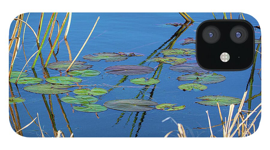 Savannah iPhone 12 Case featuring the photograph Colorful Winter Lilypads by Douglas Wielfaert
