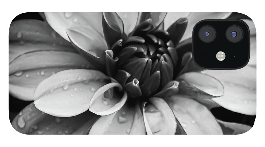 Art iPhone 12 Case featuring the photograph Dahlia III Black and White by Joan Han
