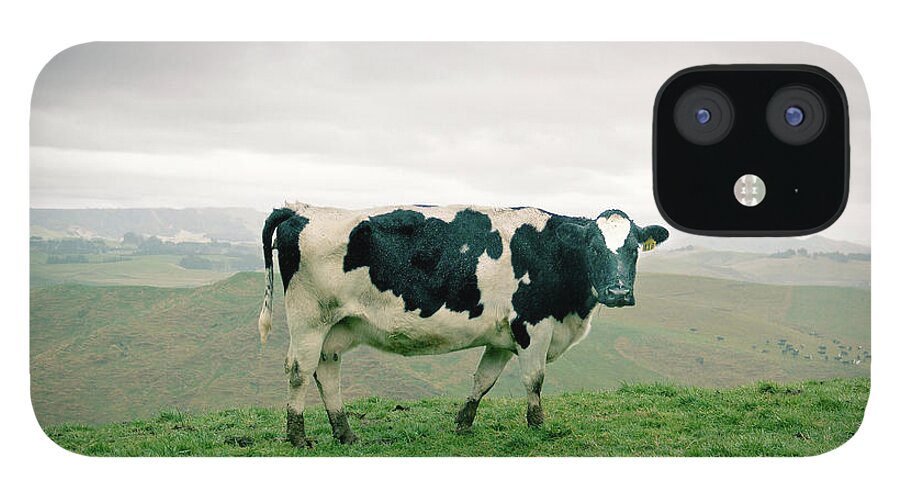 Grass iPhone 12 Case featuring the photograph Dairy by Photo By Stas Kulesh