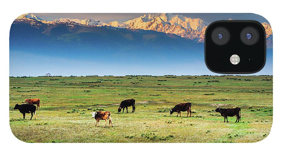 Dawn iPhone 12 Case featuring the photograph Dawn At Tian Shan Mountains by Feng Wei Photography