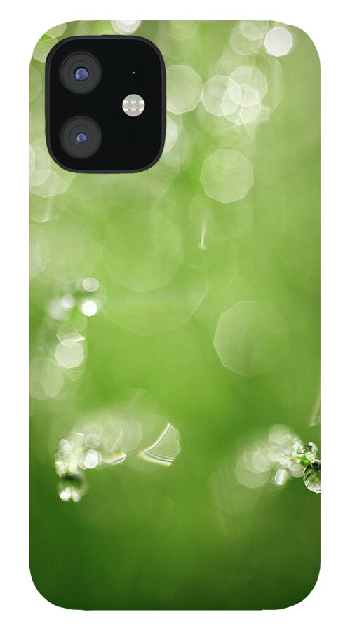 Outdoors iPhone 12 Case featuring the photograph Dew Drops by Seiji Nakai