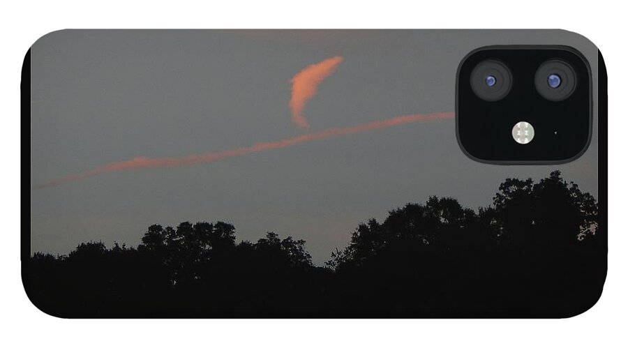 Sky iPhone 12 Case featuring the photograph Dolphin in the Sky by Karen Stansberry