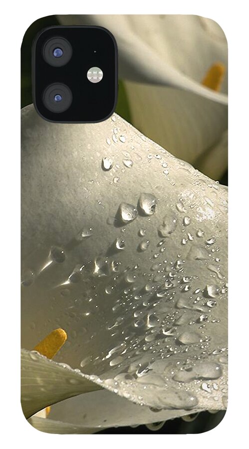 Botanical iPhone 12 Case featuring the photograph Easter Rain by Richard Thomas