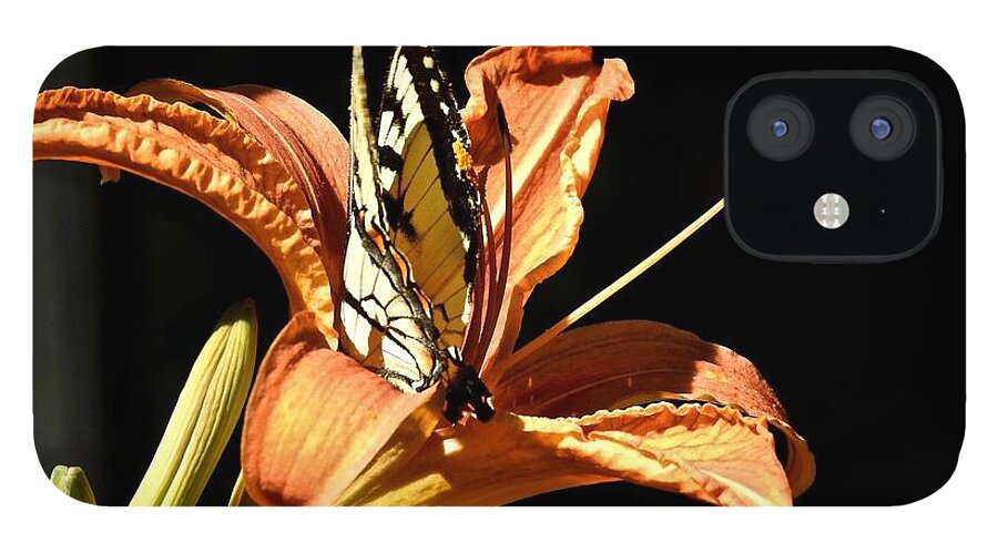 Emergence iPhone 12 Case featuring the photograph Emergence by Kathy Ozzard Chism