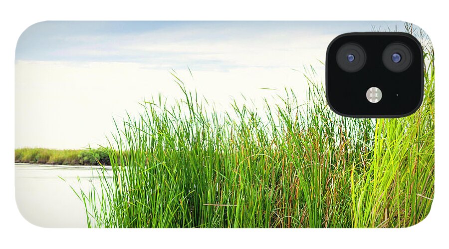 Scenics iPhone 12 Case featuring the photograph Empty Kayak Resting In Reeds by Catlane