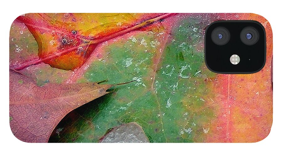 Autumn iPhone 12 Case featuring the photograph Fall Color and Snow by Amy Dundon