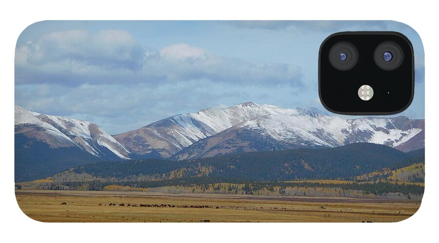 Mountains iPhone 12 Case featuring the photograph Fall Mountain Meadow by Karen Stansberry