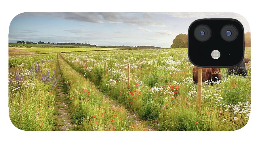 Norfolk iPhone 12 Case featuring the photograph Norfolk flower meadow and two cows by Simon Bratt