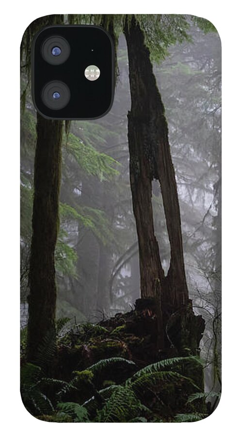 Fog iPhone 12 Case featuring the photograph Foggy Forest by Steven Clark