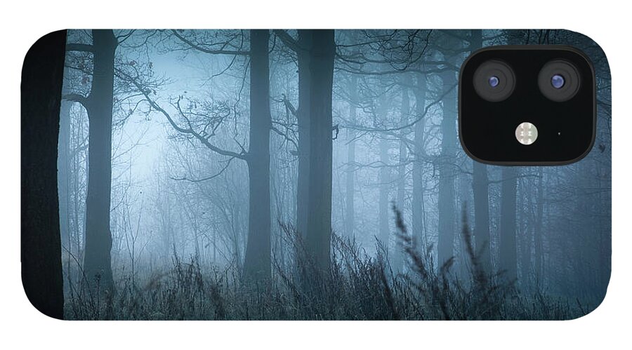 Scenics iPhone 12 Case featuring the photograph Foggy Landscape In Autumn by Mordolff