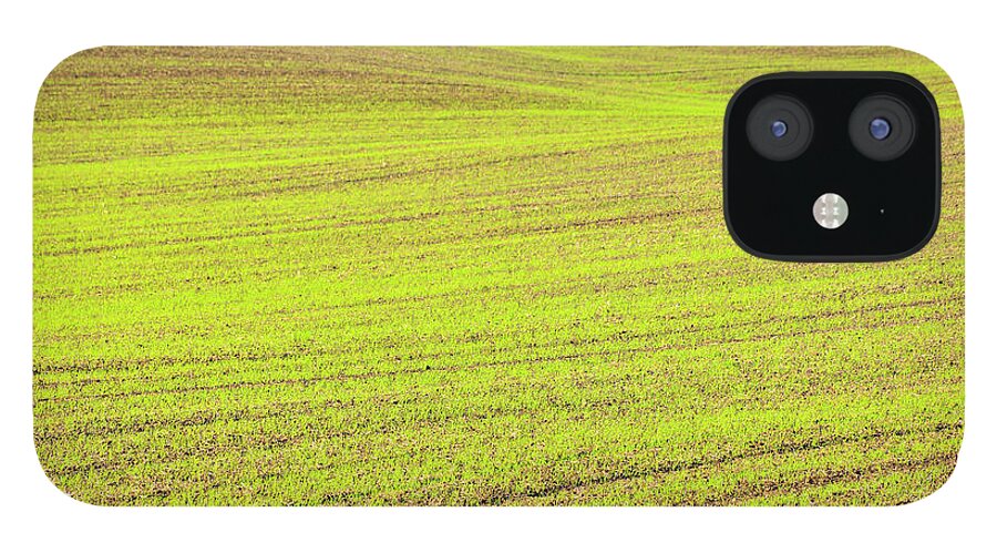 Scenics iPhone 12 Case featuring the photograph Freshly Sown Grainfield by Raimund Linke