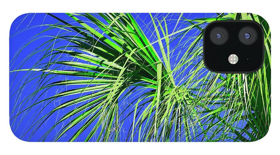 Palm Tree iPhone 12 Case featuring the photograph Fringe by Debra Grace Addison