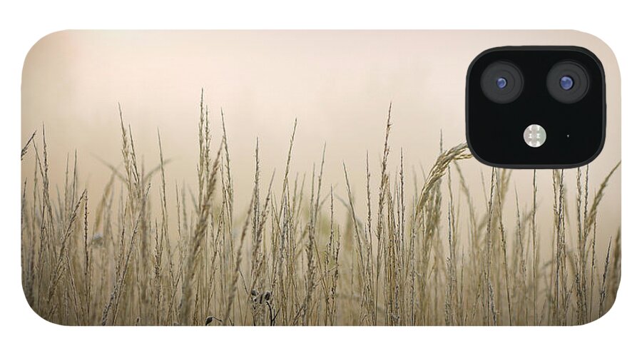 Scenics iPhone 12 Case featuring the photograph Frozen Grass At Hazy Morning by Alexkotlov