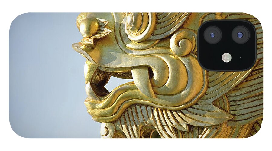 Chinese Culture iPhone 12 Case featuring the photograph Gold Dragon by Nick M Do