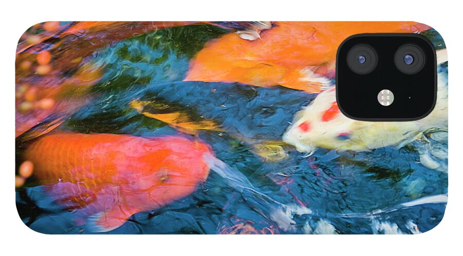 Pets iPhone 12 Case featuring the photograph Gold Fish by By Ken Ilio