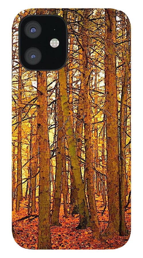Tree iPhone 12 Case featuring the photograph Gold Forest by Robert Bissett