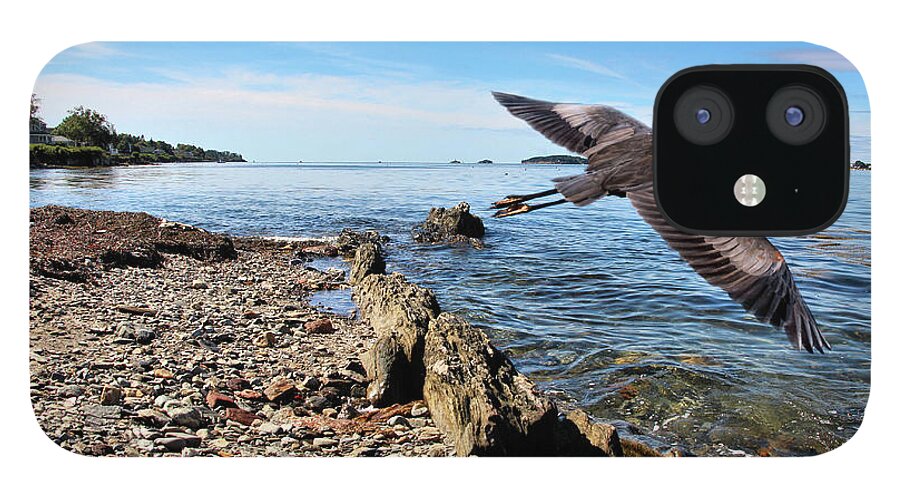 Seascape iPhone 12 Case featuring the photograph Great Blue Heron At Bailey Island by Sandra Huston