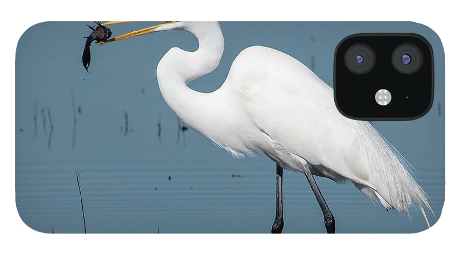 Great Egret iPhone 12 Case featuring the photograph Great Egret with Fish by Ken Stampfer