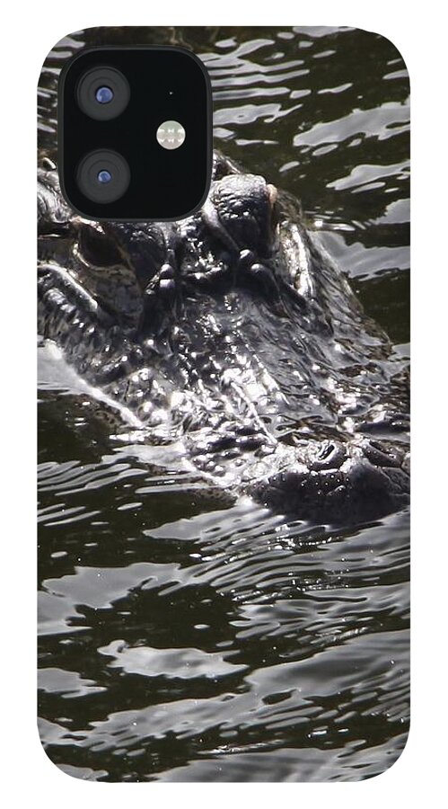 Heads iPhone 12 Case featuring the photograph Heads Up Gator Before The Storm by Philip And Robbie Bracco