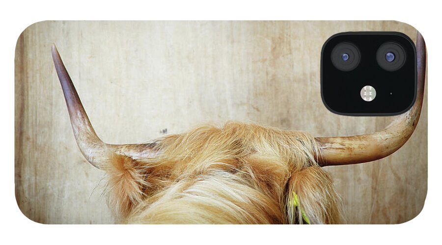Horned iPhone 12 Case featuring the photograph Highland Cow, Rear View by Liz Whitaker