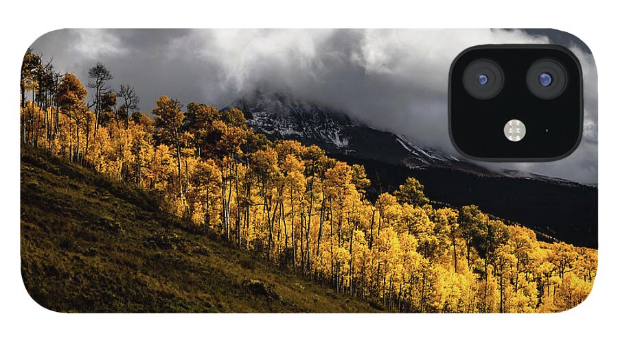 Mount Wilson Peak iPhone 12 Case featuring the photograph Hillside Aspens by Norma Brandsberg