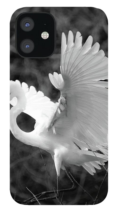 Egret iPhone 12 Case featuring the photograph Hitting the Brakes by Jerry Griffin