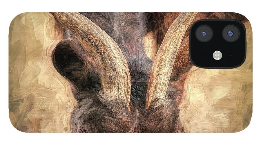  iPhone 12 Case featuring the photograph Horns Authority by Pete Rems