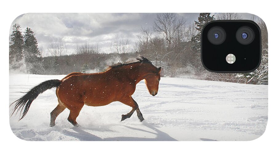 Horse iPhone 12 Case featuring the photograph Horse Galloping In Deep Snow With Sun by Anne Louise Macdonald Of Hug A Horse Farm