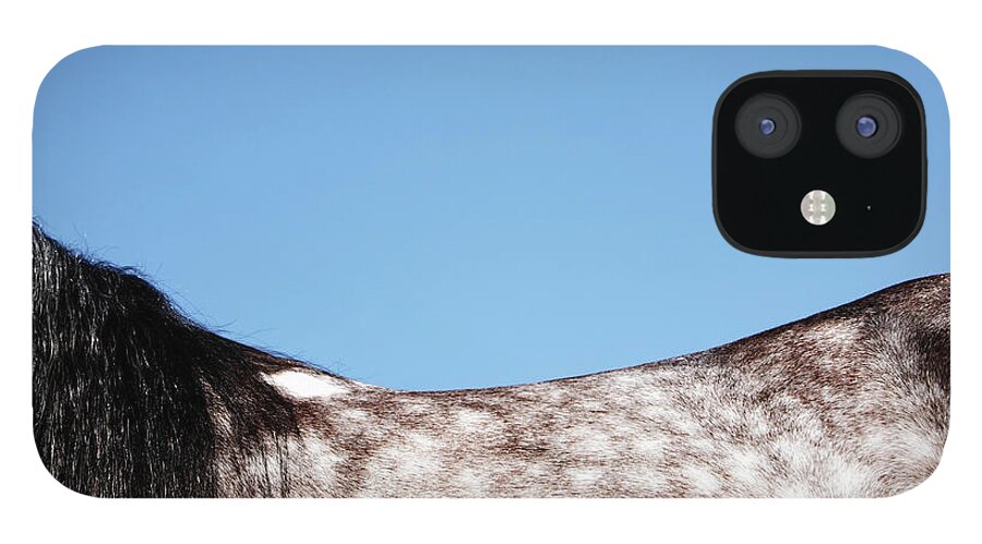 Horse iPhone 12 Case featuring the photograph Horses Back by Monica Rodriguez