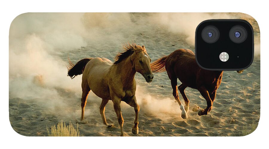 Horse iPhone 12 Case featuring the photograph Horses by Garyalvis