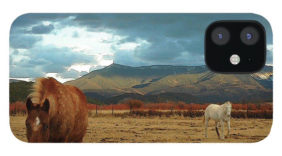 Horse iPhone 12 Case featuring the photograph Horses In Winter Landscape Truchas by Mary Hockenbery