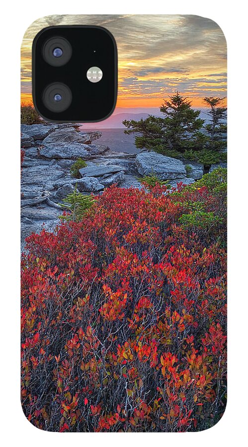 Dolly Sods iPhone 12 Case featuring the photograph Huckleberry Red by Jaki Miller