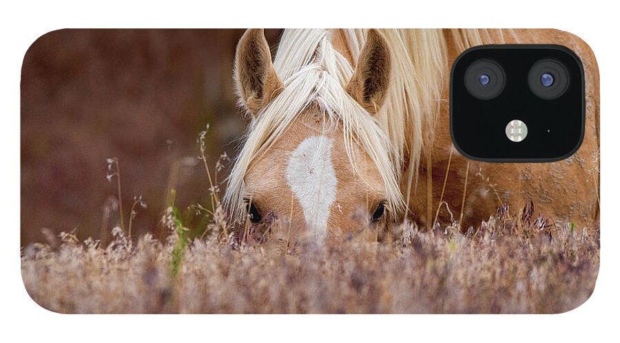 Wild Horses iPhone 12 Case featuring the photograph I see you by Mary Hone