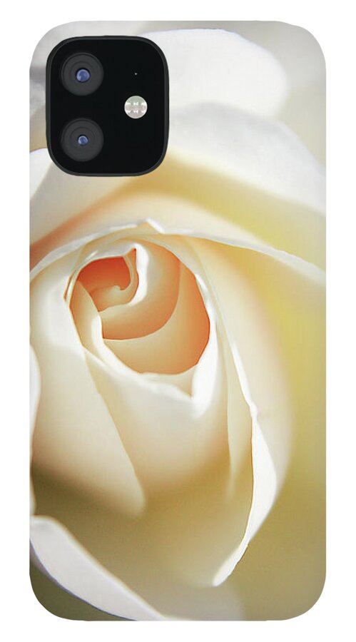 Petal iPhone 12 Case featuring the photograph Iceberg Rose by Jill Harrison