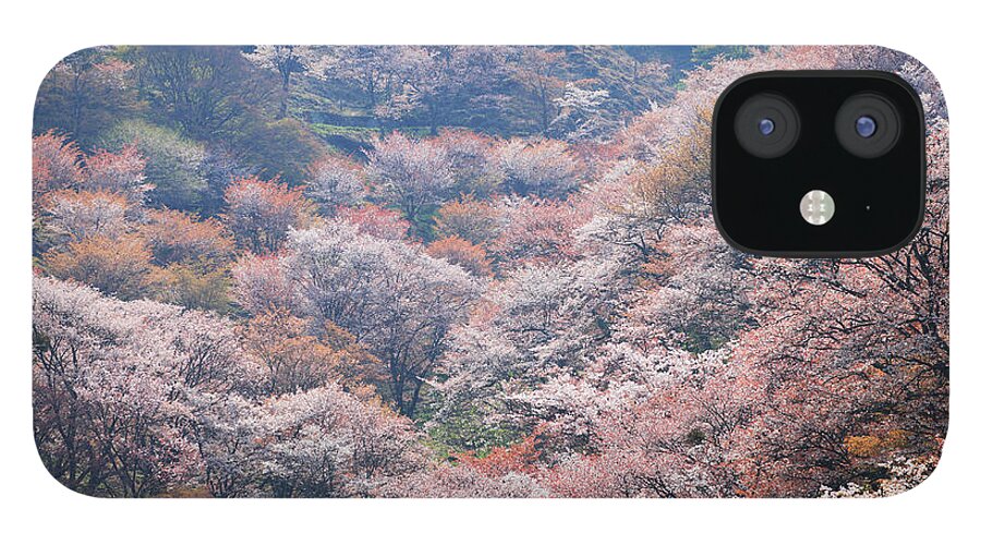 Treetop iPhone 12 Case featuring the photograph Japan, Nara, Yoshino, Cherry Blossom On by Imagewerks