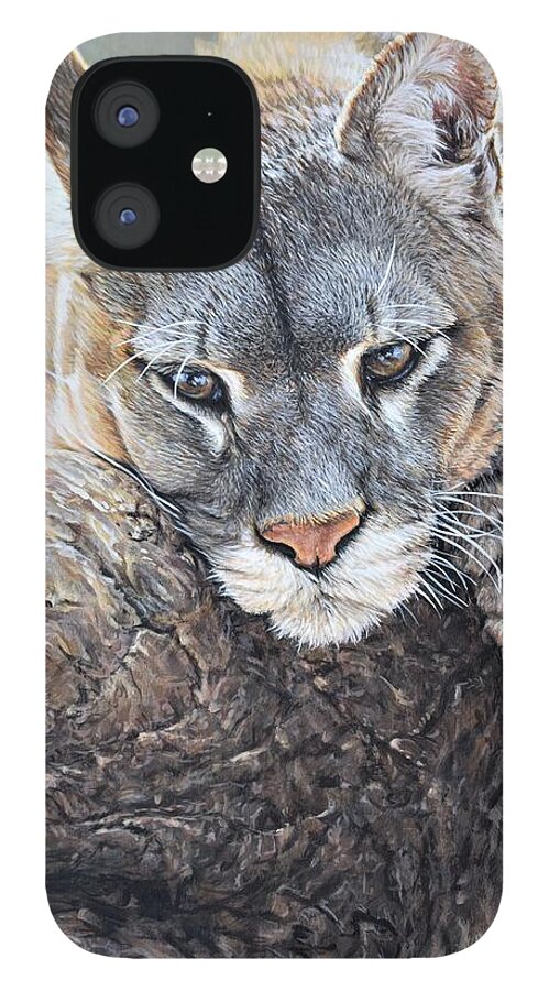 Cougar iPhone 12 Case featuring the painting Just Chillin - Cougar by Alan M Hunt by Alan M Hunt