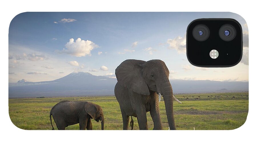 Kenya iPhone 12 Case featuring the photograph Kenya, Elephant And Infant On Plain by Peter Adams