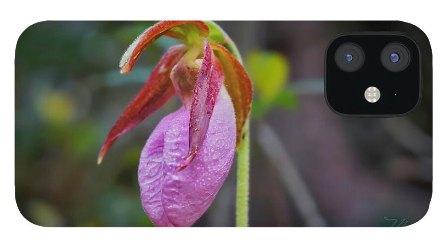 Macro Photography iPhone 12 Case featuring the photograph Lady Slipper Orchid by Meta Gatschenberger