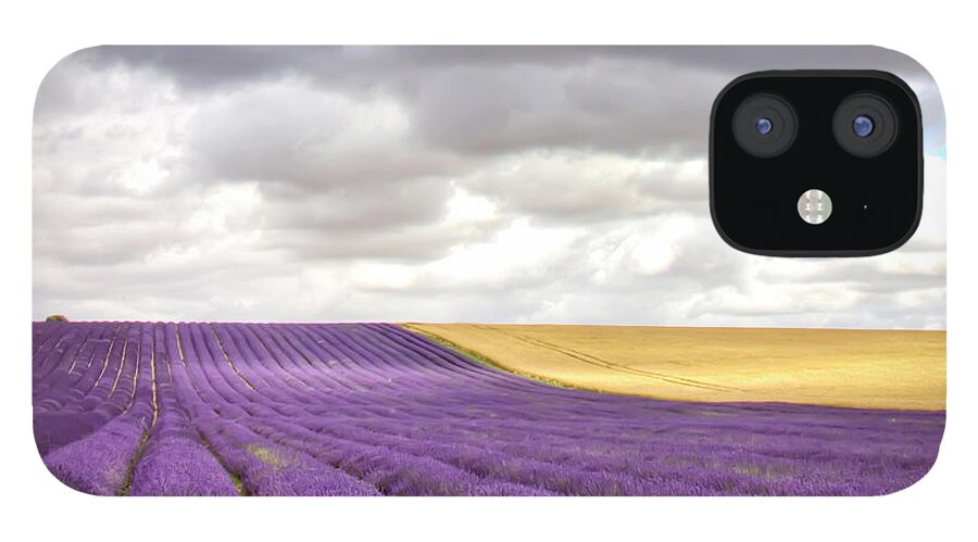 Tranquility iPhone 12 Case featuring the photograph Lavender Field by Photo By Roger Cave