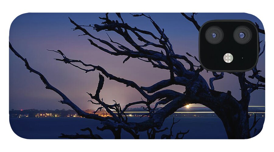 Driftwood Beach iPhone 12 Case featuring the photograph Life Beyond the Graveyard of Trees by James Covello