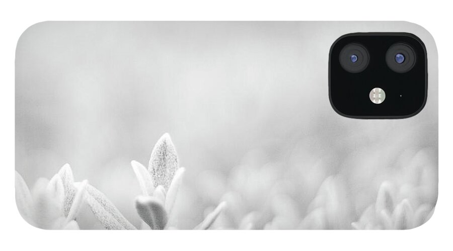 Desaturated iPhone 12 Case featuring the photograph Little White Plant In Focus In Sea Of by Johan Klovsjö